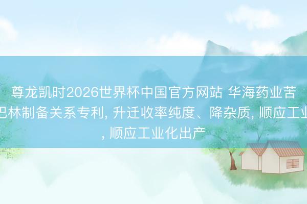 尊龙凯时2026世界杯中国官方网站 华海药业苦求普瑞巴林制备关系专利， 升迁收率纯度、降杂质， 顺应工业化出产