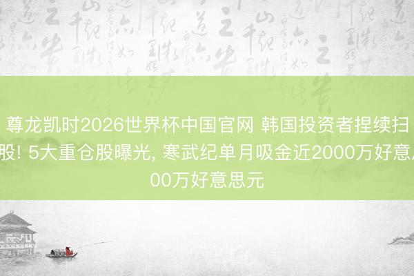 尊龙凯时2026世界杯中国官网 韩国投资者捏续扫货A股! 5大重仓股曝光， 寒武纪单月吸金近2000万好意思元
