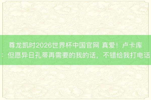 尊龙凯时2026世界杯中国官网 真爱!卢卡库:但愿异日孔蒂再需要的我的话,不错给我打电话
