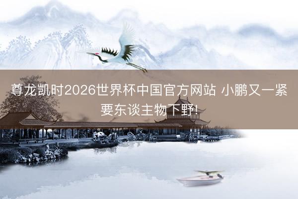 尊龙凯时2026世界杯中国官方网站 小鹏又一紧要东谈主物下野!
