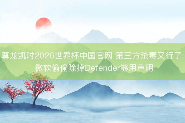 尊龙凯时2026世界杯中国官网 第三方杀毒又行了: 微软偷偷除掉Defender够用声明