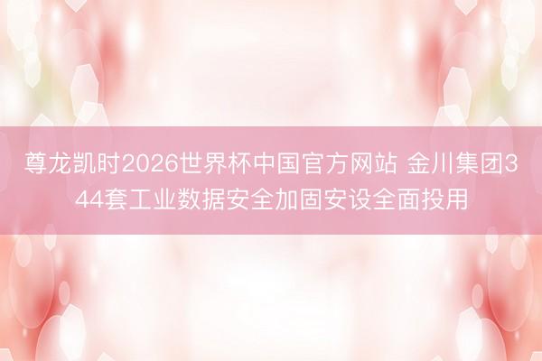 尊龙凯时2026世界杯中国官方网站 金川集团344套工业数据安全加固安设全面投用