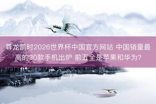 尊龙凯时2026世界杯中国官方网站 中国销量最高的30款手机出炉 前五全是苹果和华为?