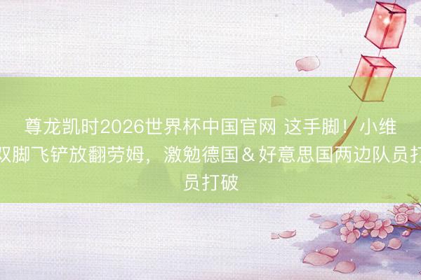 尊龙凯时2026世界杯中国官网 这手脚！小维阿双脚飞铲放翻劳姆，激勉德国＆好意思国两边队员打破