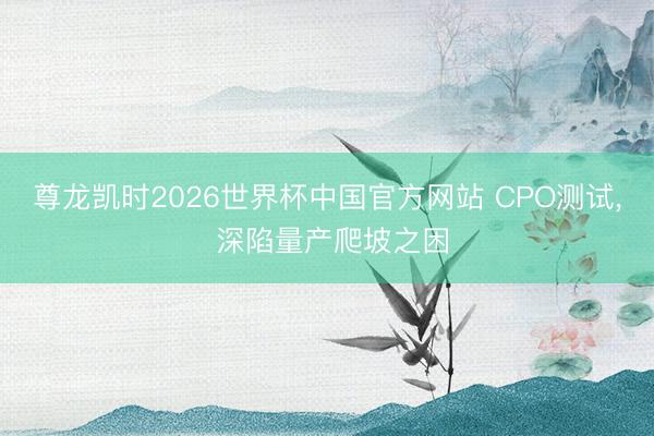 尊龙凯时2026世界杯中国官方网站 CPO测试， 深陷量产爬坡之困