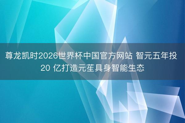 尊龙凯时2026世界杯中国官方网站 智元五年投 20 亿打造元苼具身智能生态
