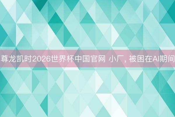 尊龙凯时2026世界杯中国官网 小厂， 被困在AI期间