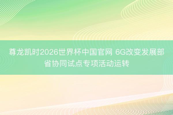 尊龙凯时2026世界杯中国官网 6G改变发展部省协同试点专项活动运转