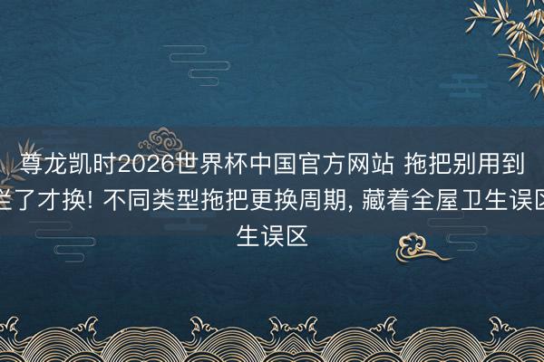 尊龙凯时2026世界杯中国官方网站 拖把别用到烂了才换! 不同类型拖把更换周期, 藏着全屋卫生误区
