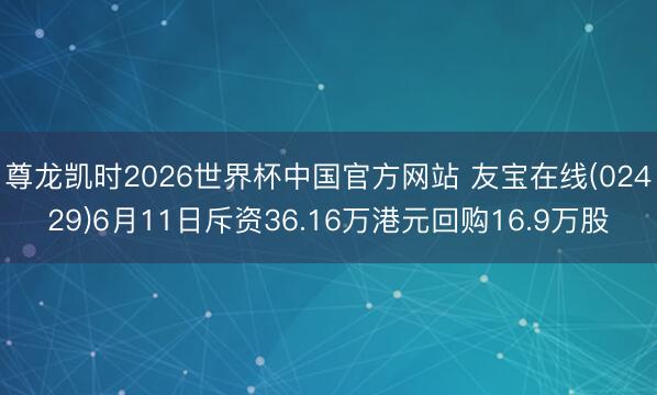 尊龙凯时2026世界杯中国官方网站 友宝在线(02429)6