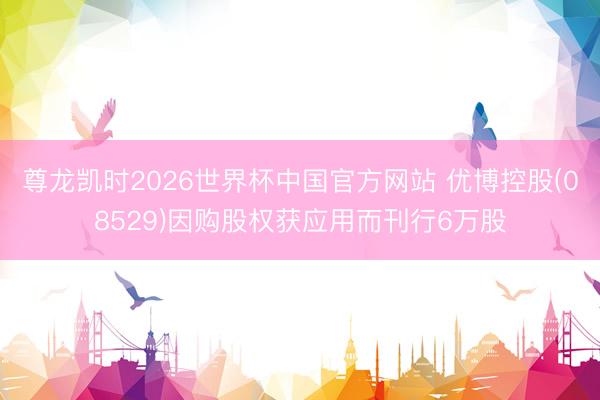 尊龙凯时2026世界杯中国官方网站 优博控股(08529)因