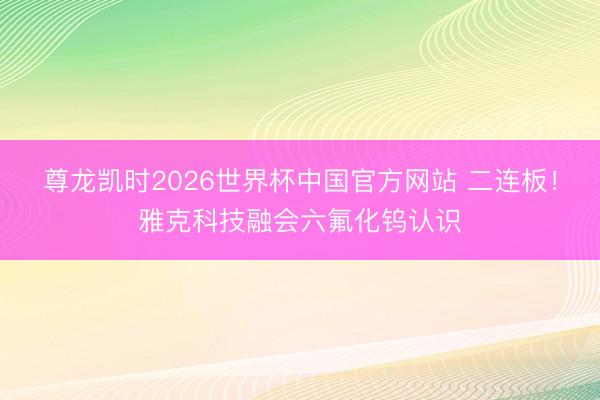尊龙凯时2026世界杯中国官方网站 二连板！雅克科技融会六氟化钨认识