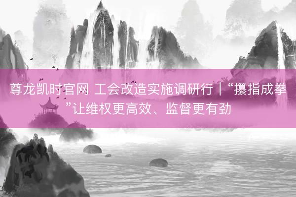 尊龙凯时官网 工会改造实施调研行|“攥指成拳”让维权更高效、