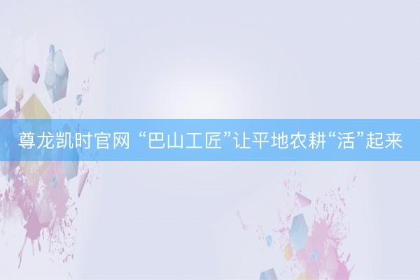 尊龙凯时官网 “巴山工匠”让平地农耕“活”起来