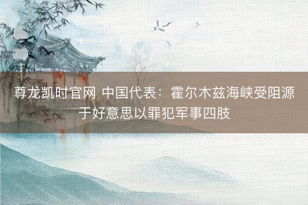尊龙凯时官网 中国代表：霍尔木兹海峡受阻源于好意思以罪犯军事四肢