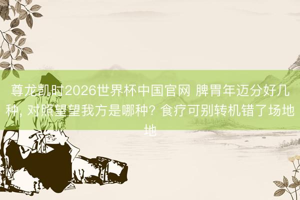 尊龙凯时2026世界杯中国官网 脾胃年迈分好几种， 对照望望我方是哪种? 食疗可别转机错了场地