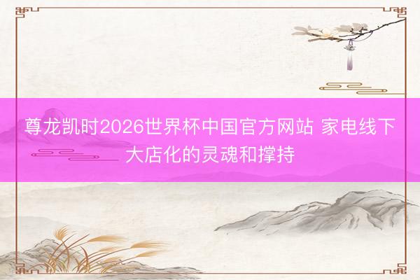 尊龙凯时2026世界杯中国官方网站 家电线下大店化的灵魂和撑持