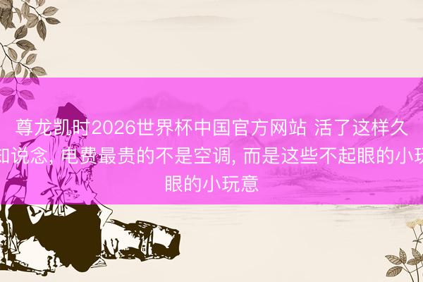 尊龙凯时2026世界杯中国官方网站 活了这样久才知说念， 电费最贵的不是空调， 而是这些不起眼的小玩意