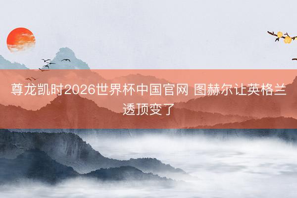 尊龙凯时2026世界杯中国官网 图赫尔让英格兰透顶变了