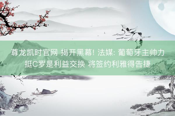 尊龙凯时官网 揭开黑幕! 法媒: 葡萄牙主帅力挺C罗是利益交换 将签约利雅得告捷