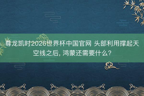 尊龙凯时2026世界杯中国官网 头部利用撑起天空线之后, 鸿蒙还需要什么?