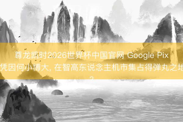 尊龙凯时2026世界杯中国官网 Google Pixel凭因何小博大, 在智高东说念主机市集占得弹丸之地?